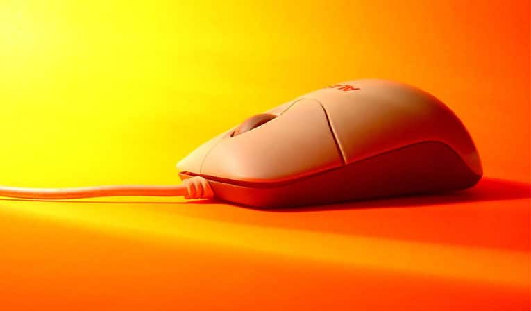 Computer mouse sitting on orange background
