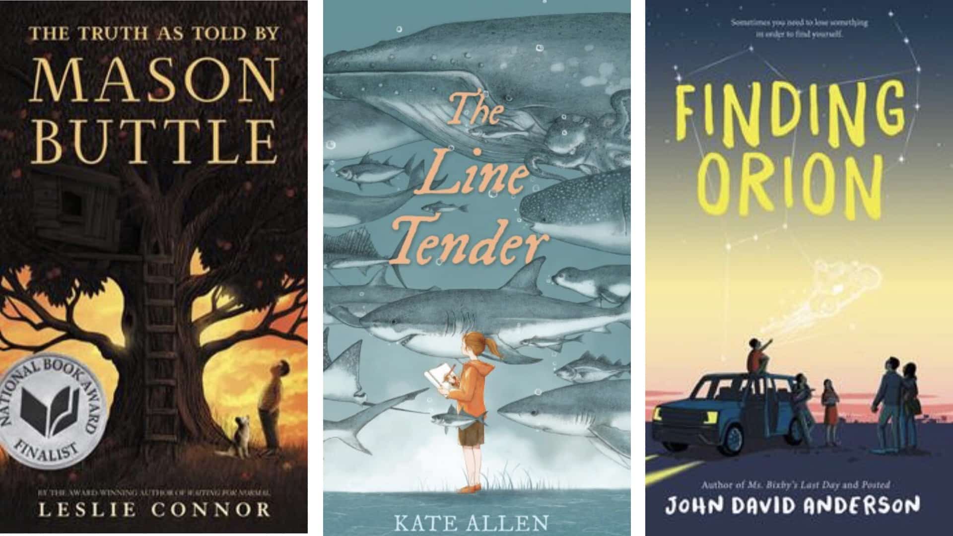 Trio of book covers: The Truth As Told By Mason Buttle, The Line Tender and Finding Orion