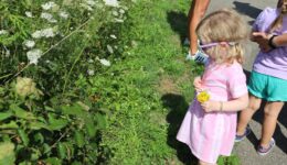 IMG_2935-min