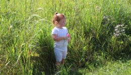 Young girl by a meadow