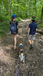 Two kids and two dogs walking in the woods.